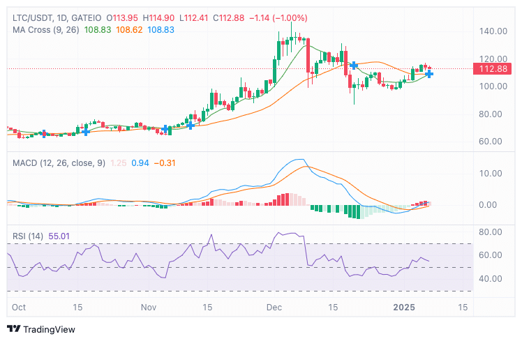 MACD Indicator Representation