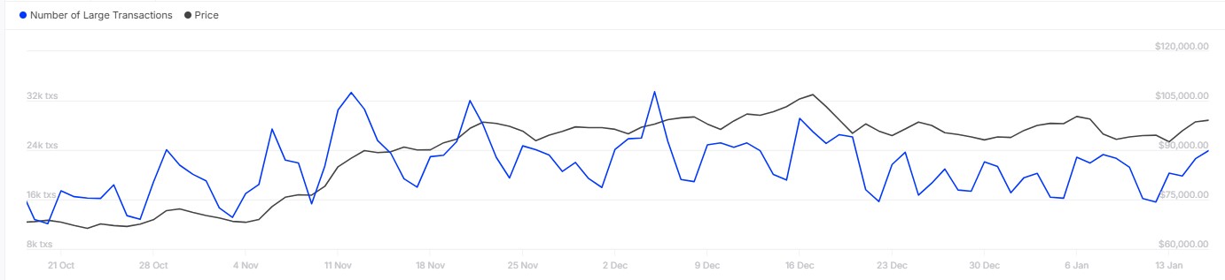 BTC Büyük İşlemler