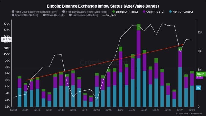 Bitcoin exchange inflow data