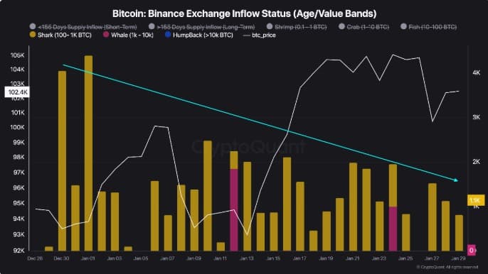 Bitcoin exchange inflow sharks whales