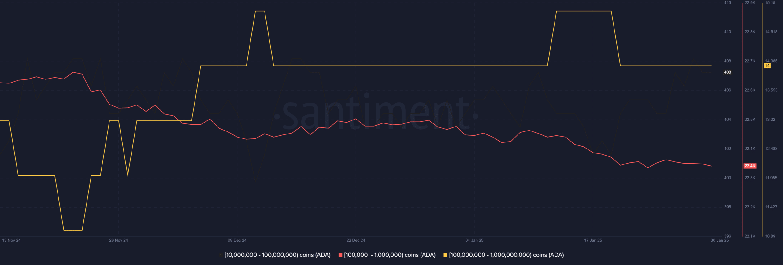 Cardano whales