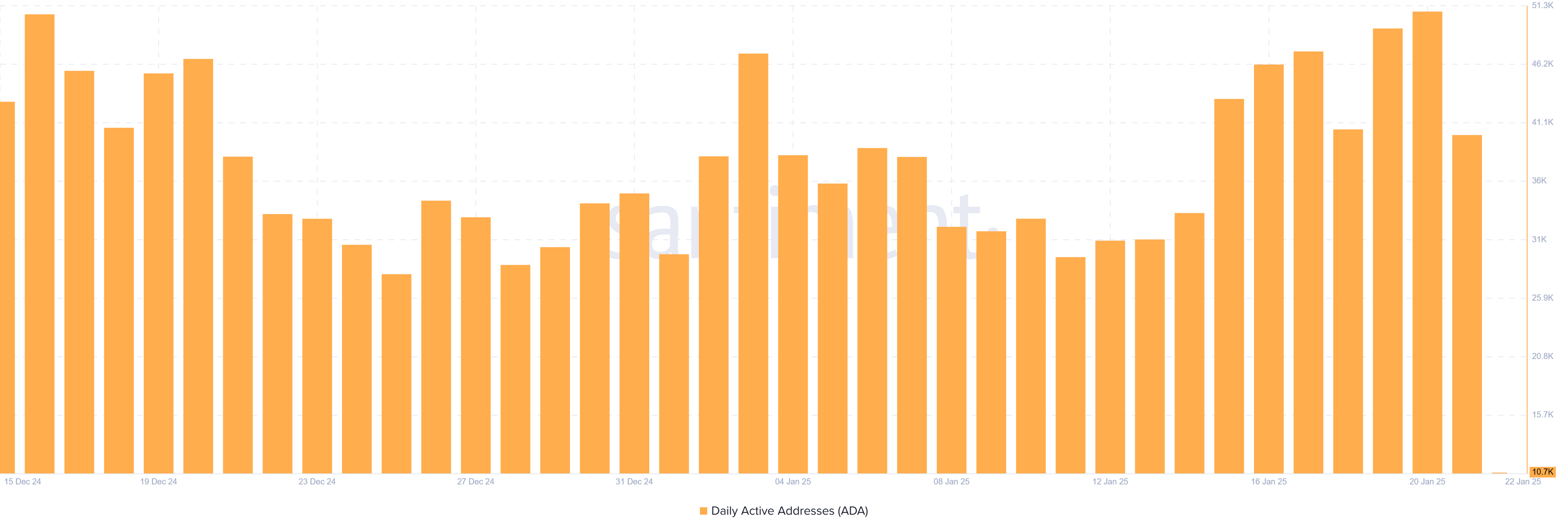 Cardano Network Activity