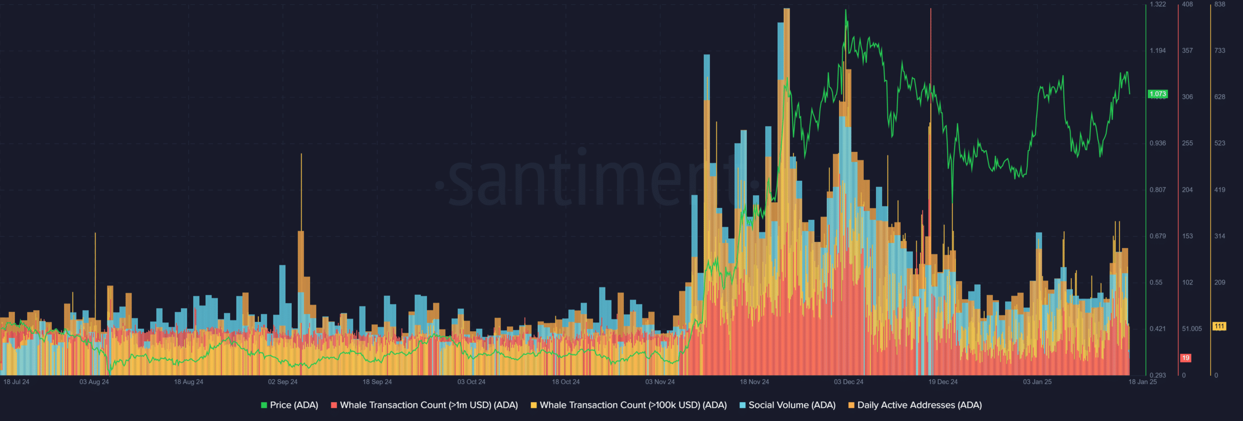 On-Chain Data for Cardano