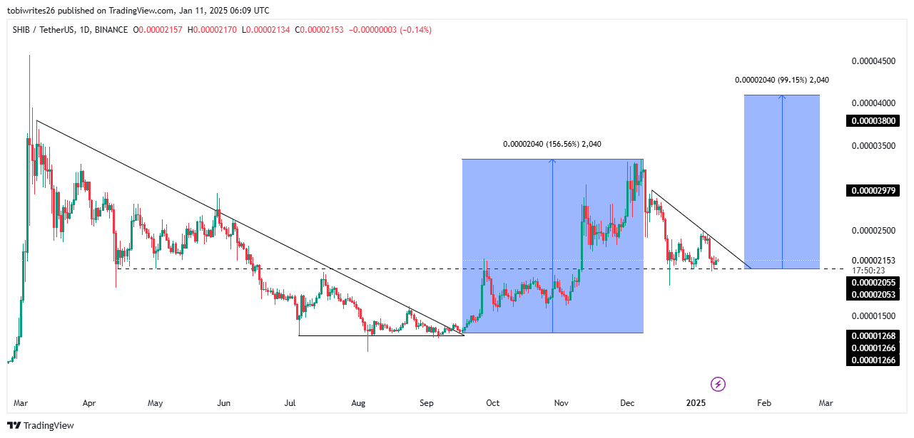 Chart illustrating SHIB's price potential based on past trends