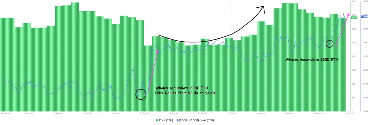 Ethereum balinaları