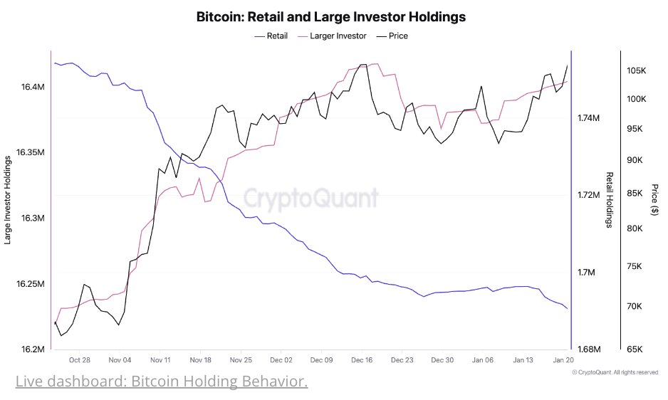 BTC perakende ve büyük yatırımcı tutumları