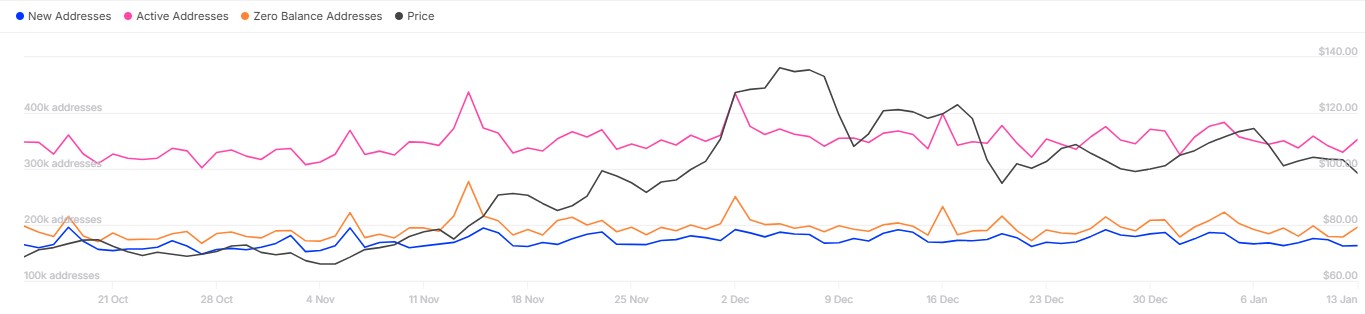 LTc Active Addresses Trend