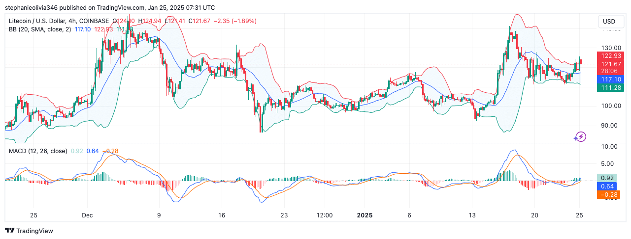 Litecoin 4-hour chart showing price movement