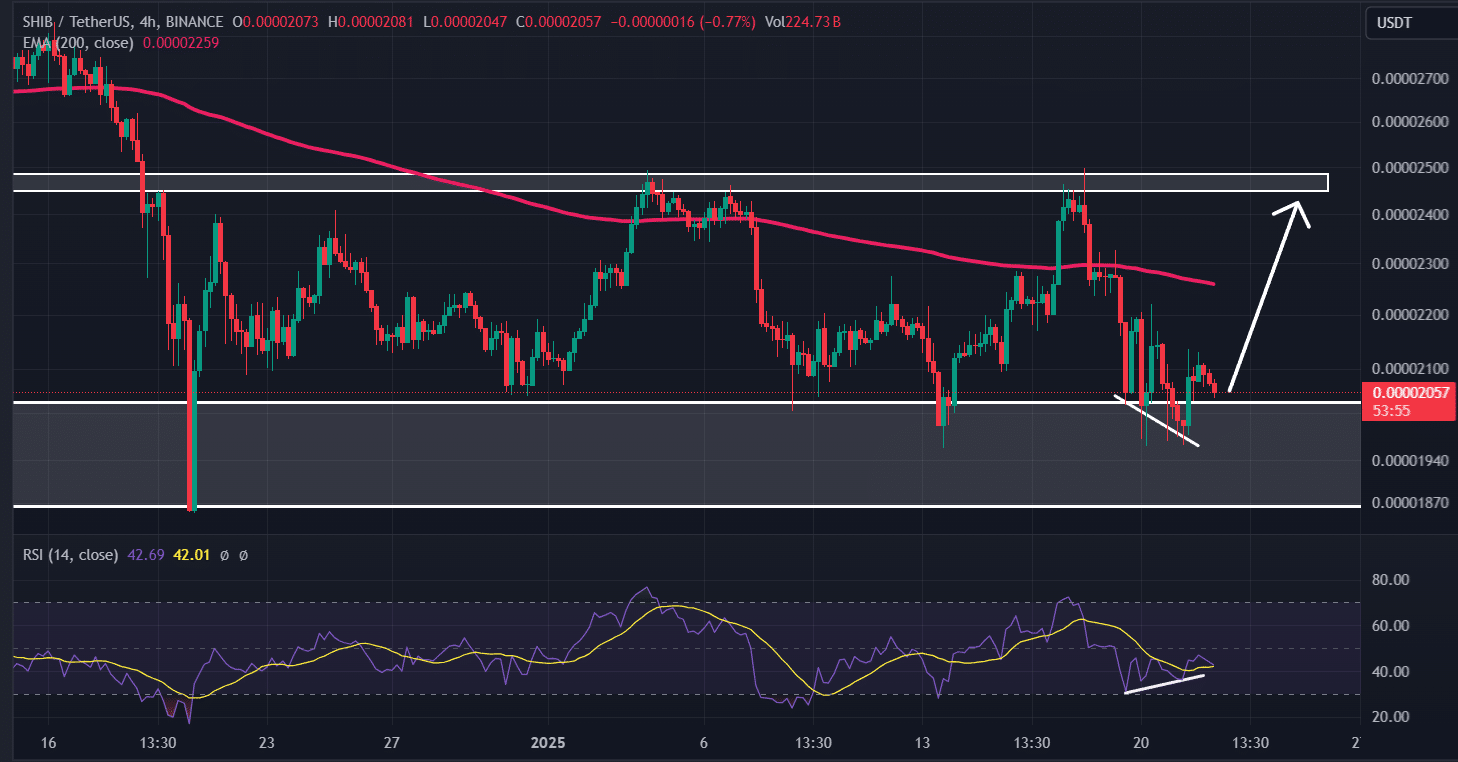 Shiba Inu (SHIB) price action