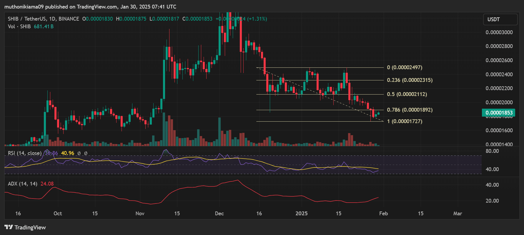 SHIB daily chart displaying RSI and price levels