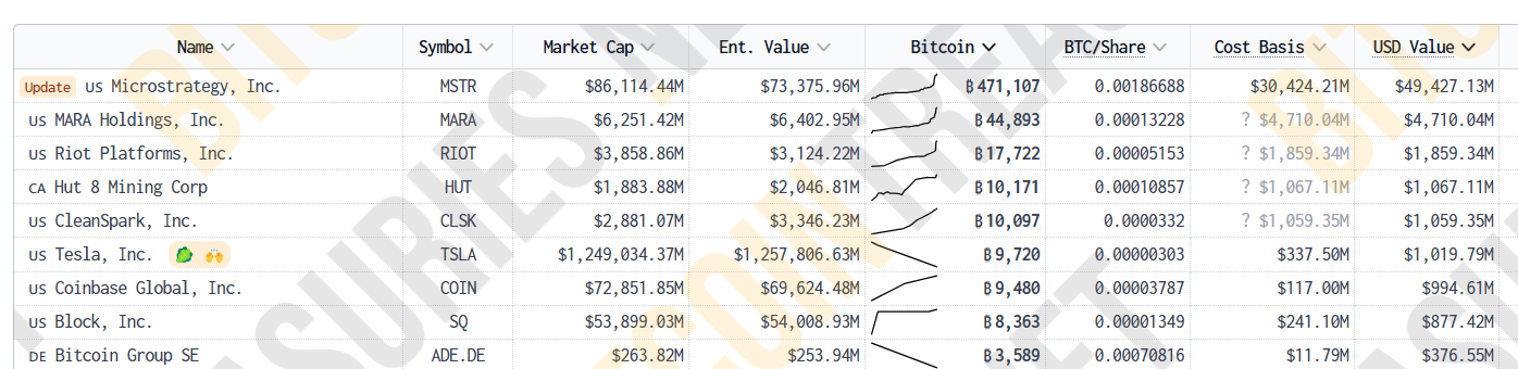 Tesla Bitcoin Valuation Chart