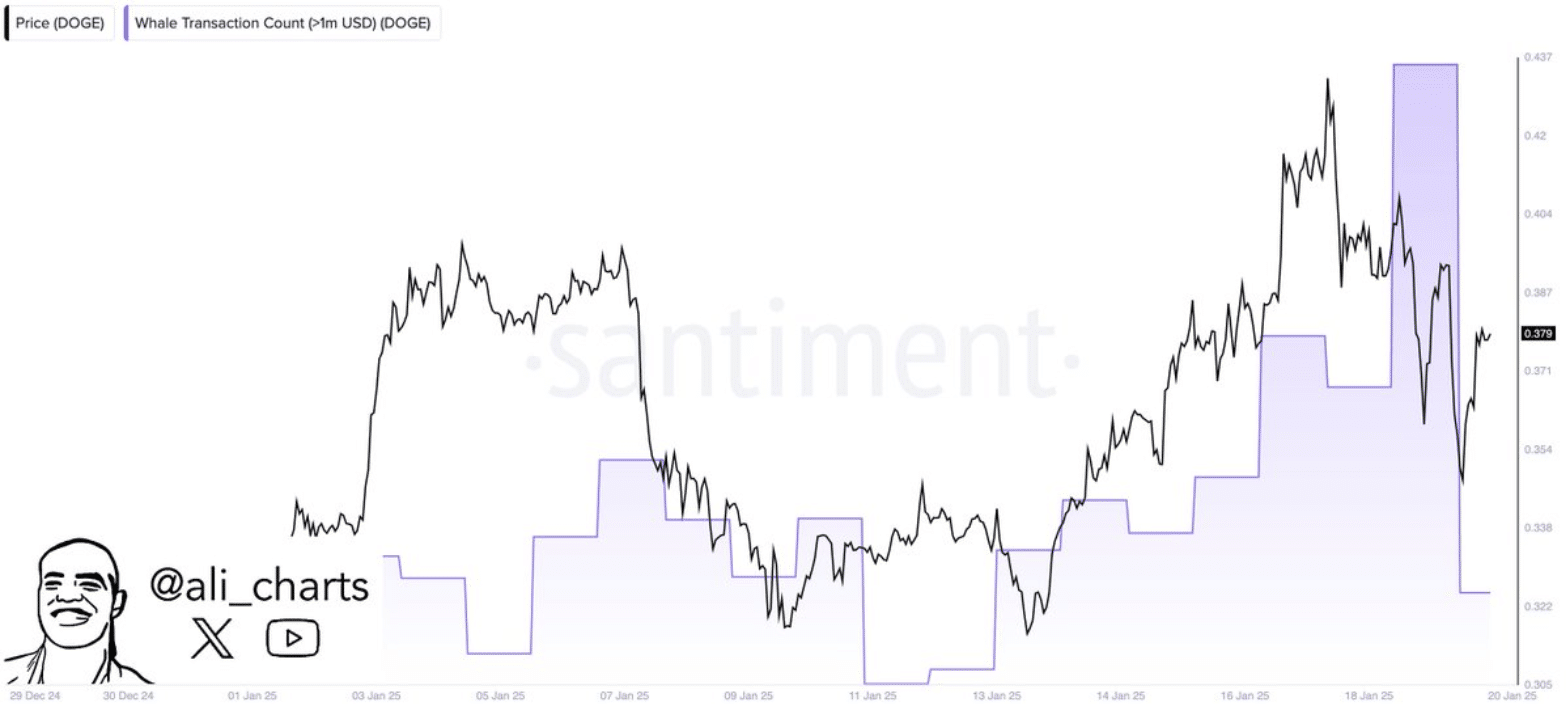 Dogecoin'de Balina Faaliyeti