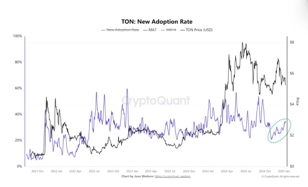 Toncoin Adoption Rate