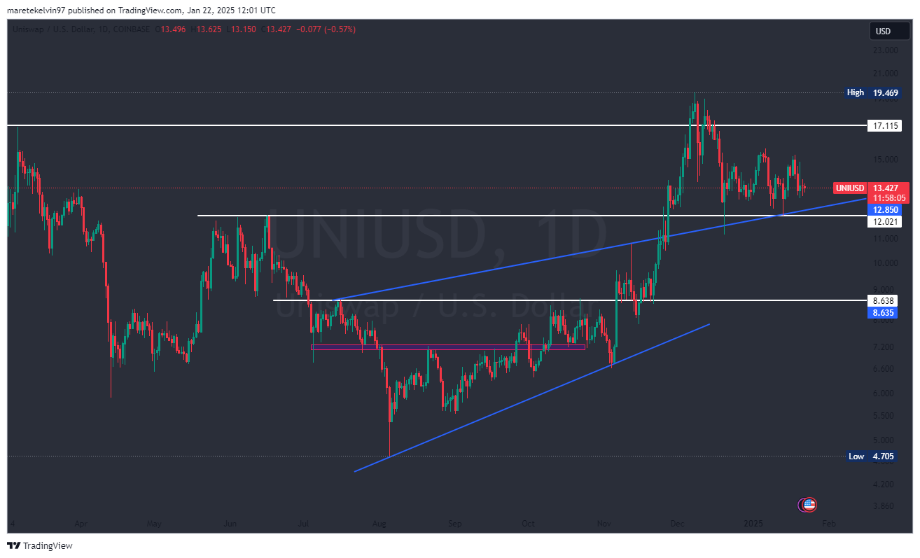 UNI Market Dynamics