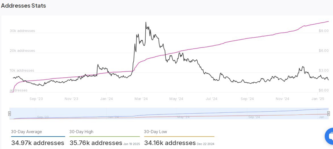 Worldcoin Aktif Adresler Raporu