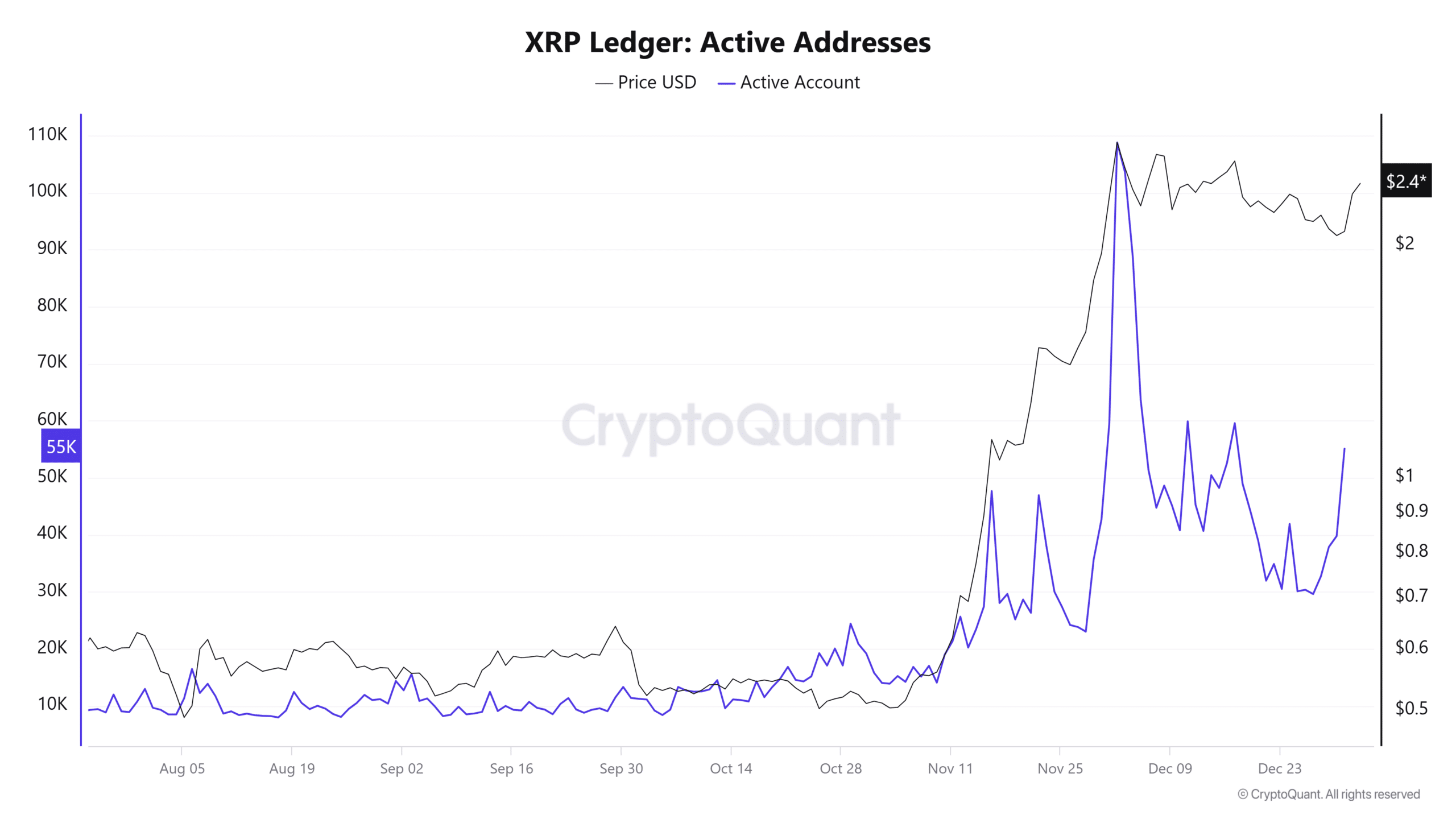 XRP Ledger Aktif Adresler