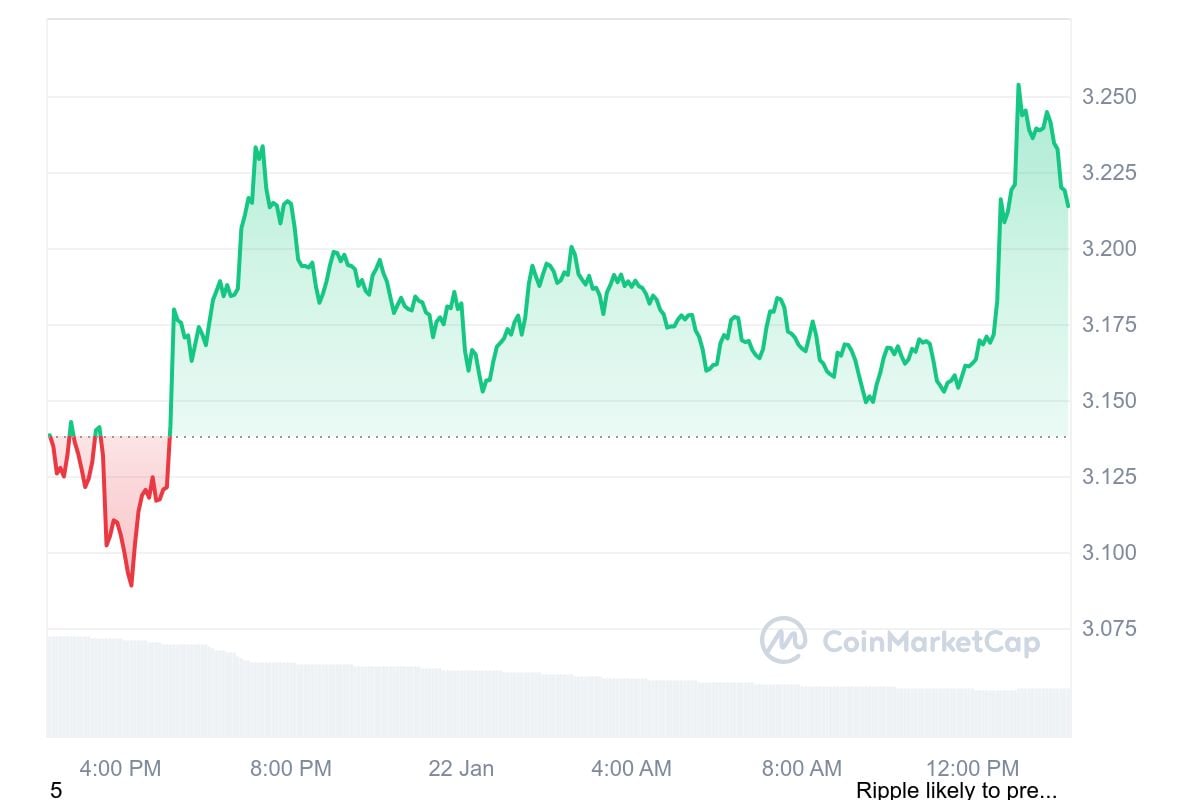 XRP 1G Grafiği CoinMarketCap'ten