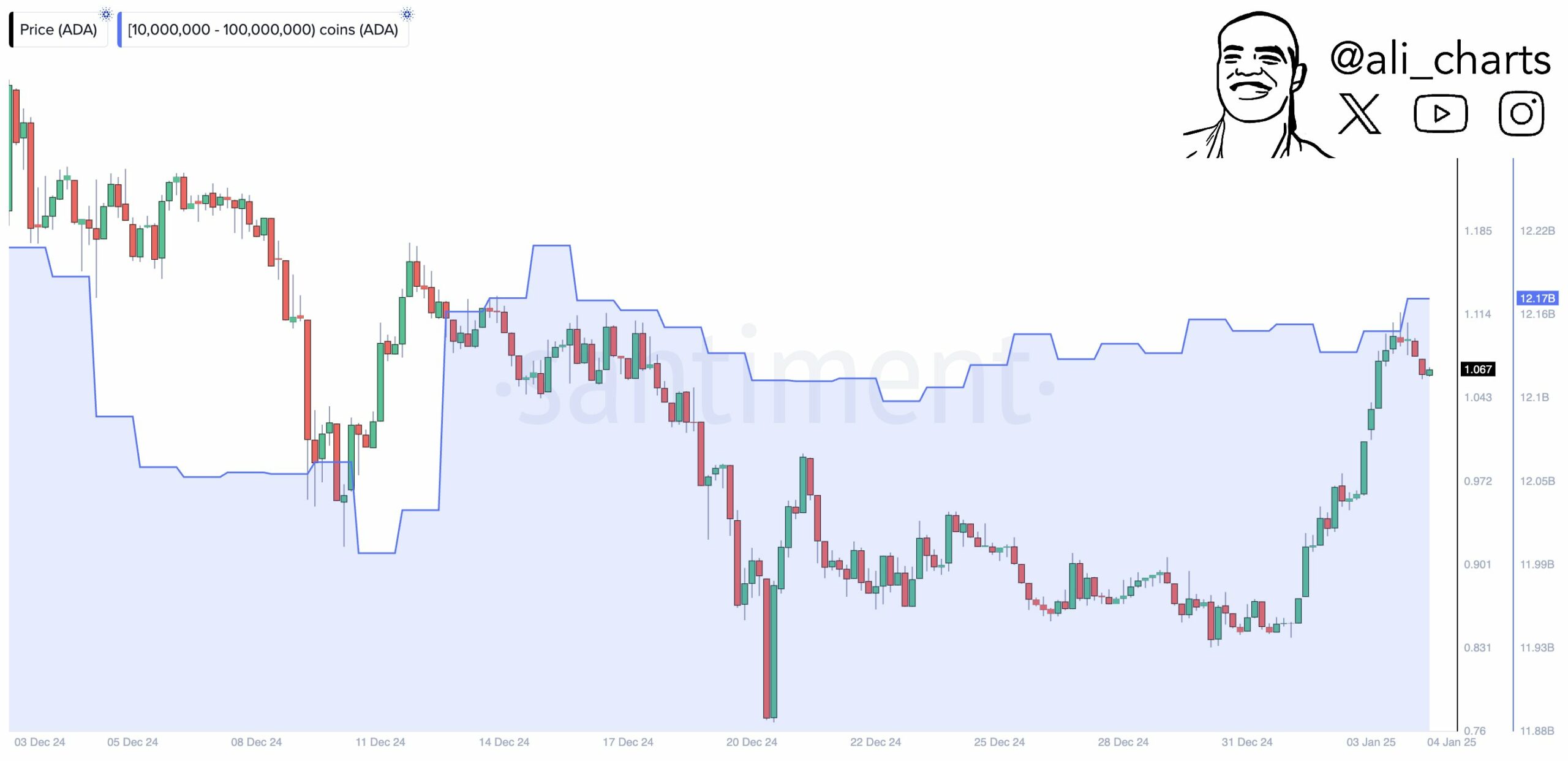 Cardano Whale Activity