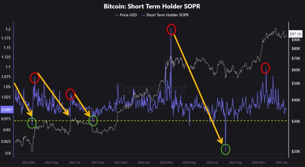 Bitcoin Short-Term Holder