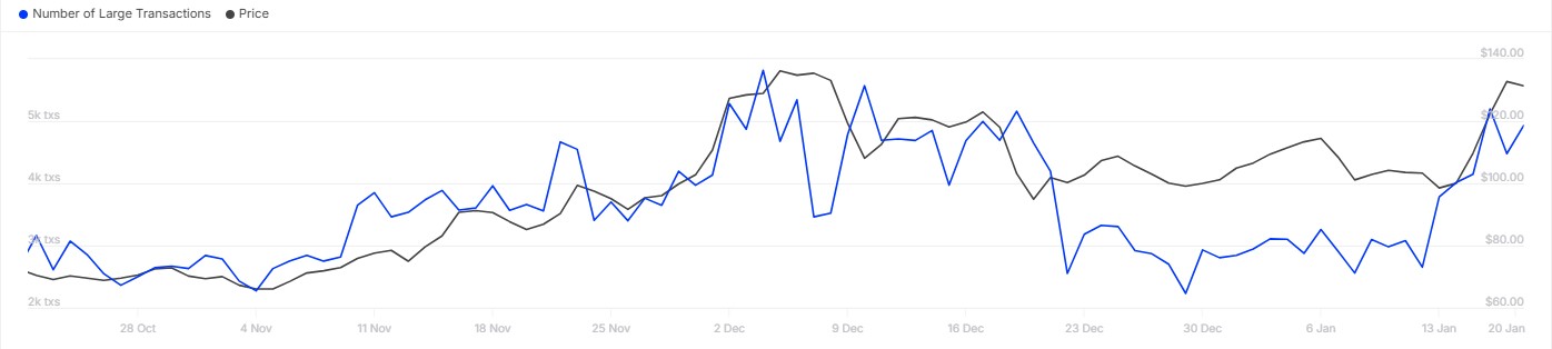 Litecoin Large Transactions