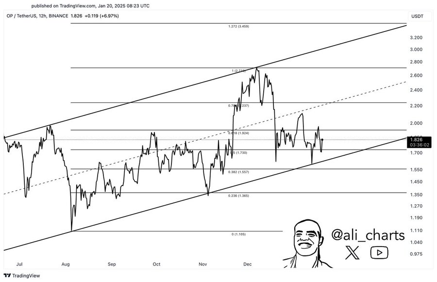 Rebound Predictions