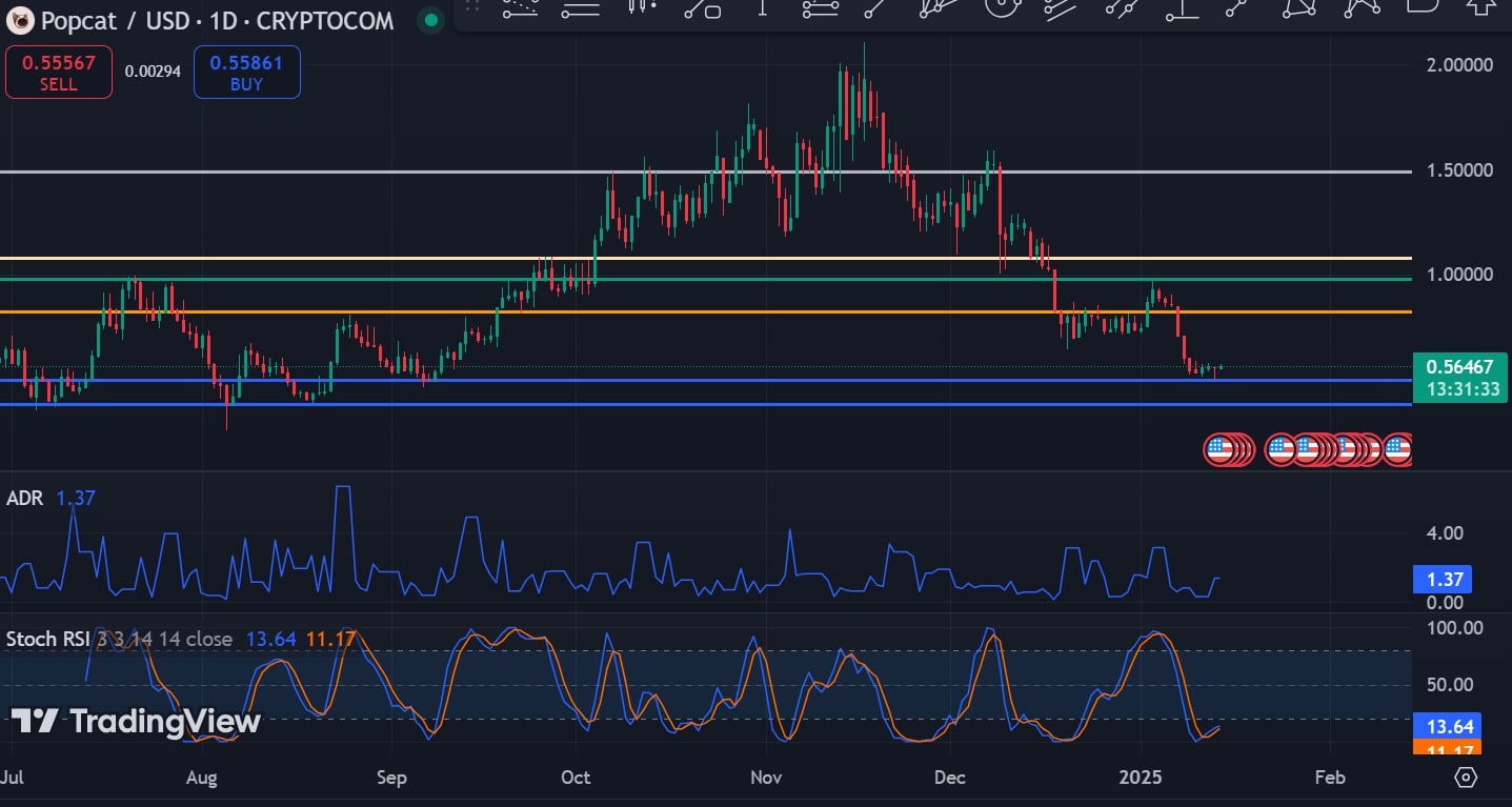 Popcat Market Chart