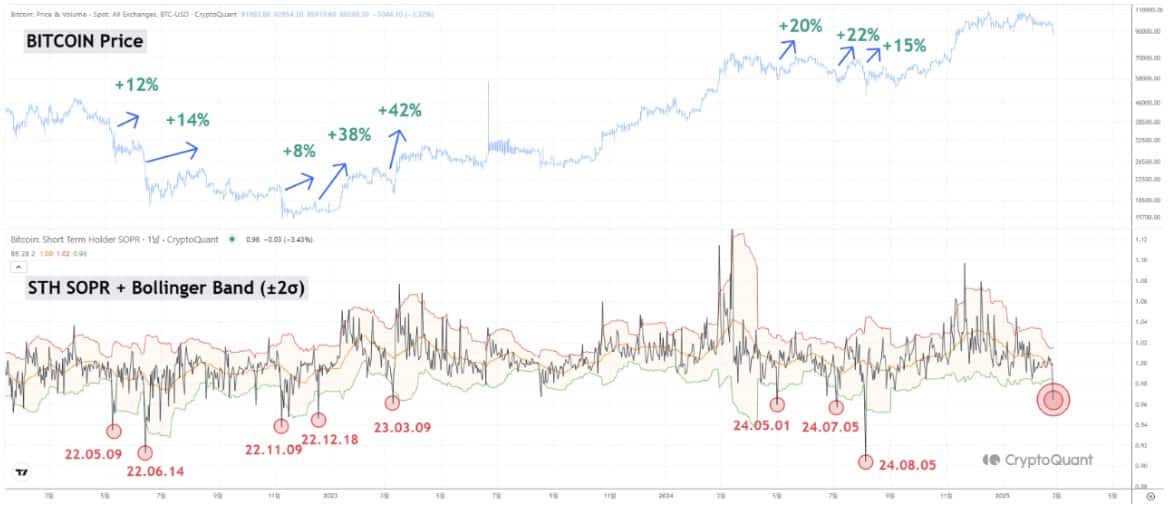 Chart indicating short-term holders' profit ratios