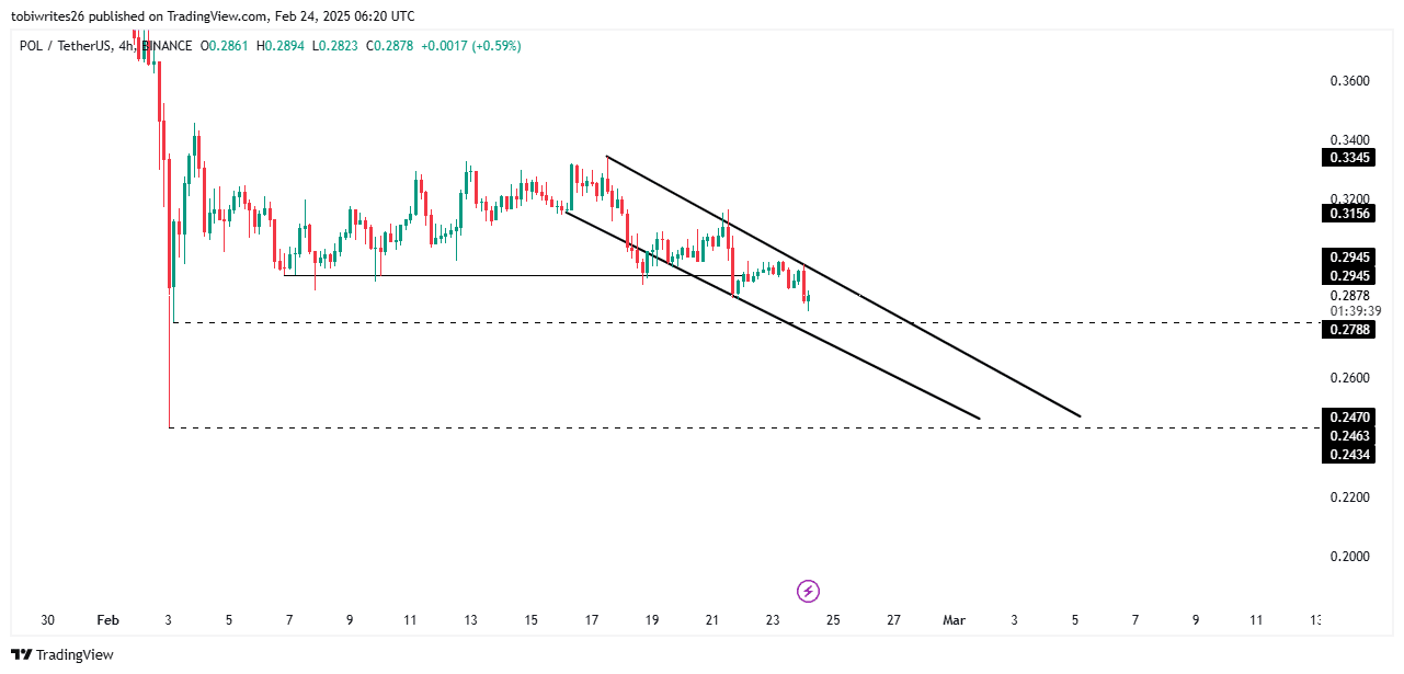 Polygon Chart Analysis