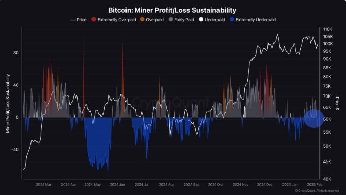 Bitcoin madencilerinin kâr ve zarar durumu