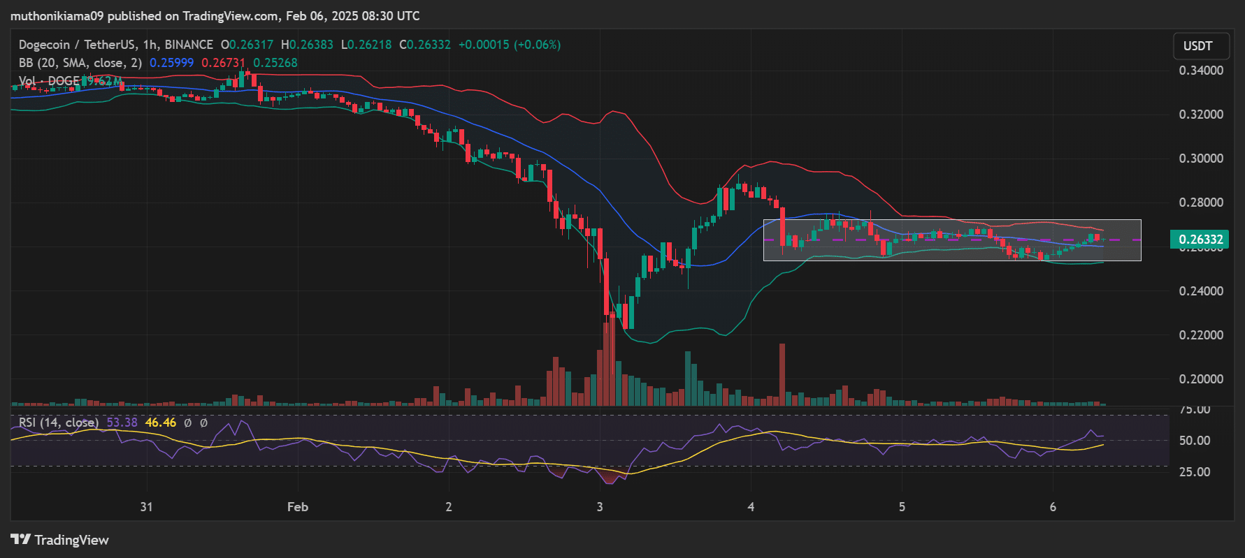 Dogecoin saatlik grafik