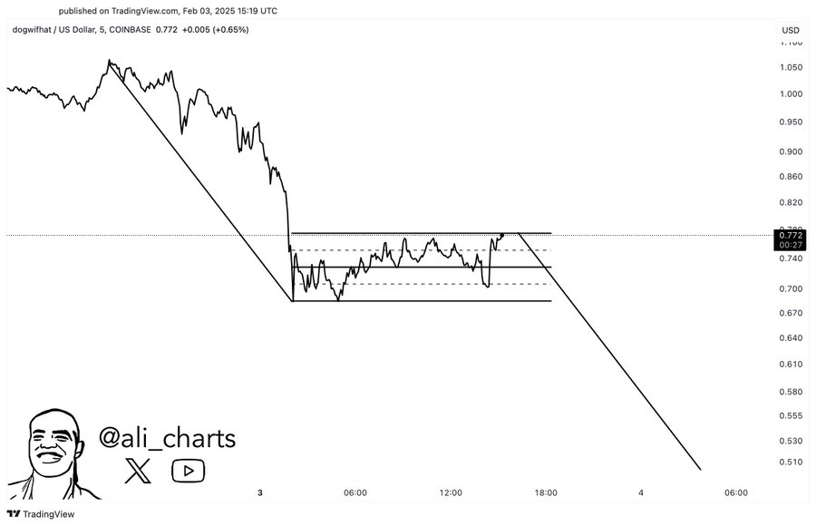 WIF Chart Analysis