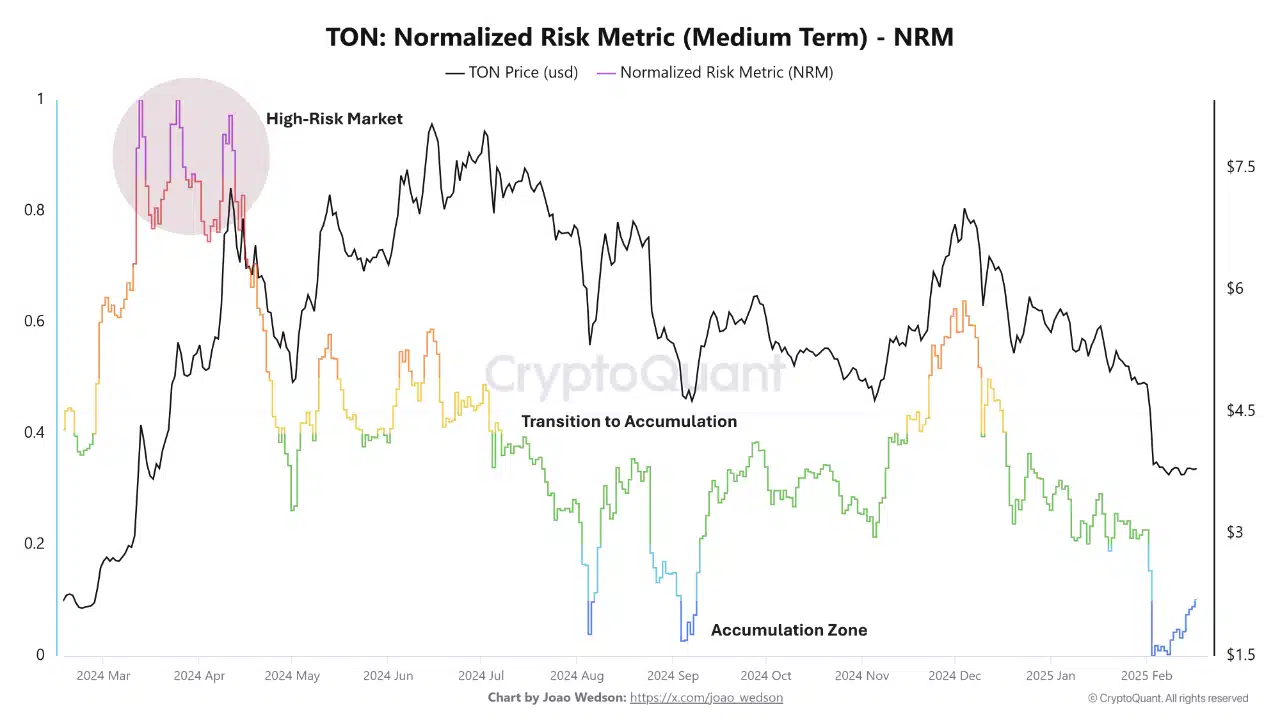 Normalized Risk Metric for Toncoin