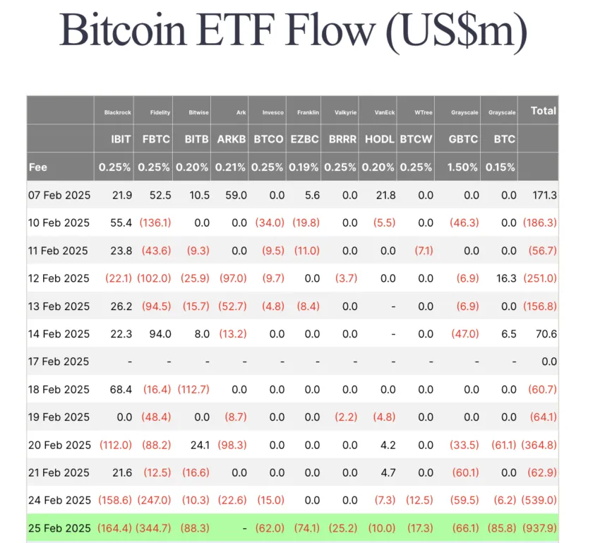 Bitcoin ETF Akışı