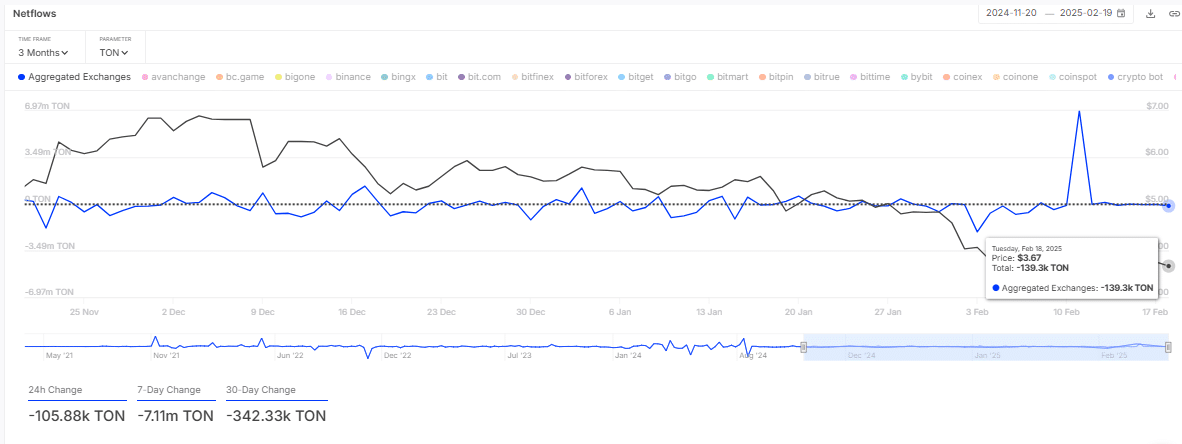 TON Netflow Analysis