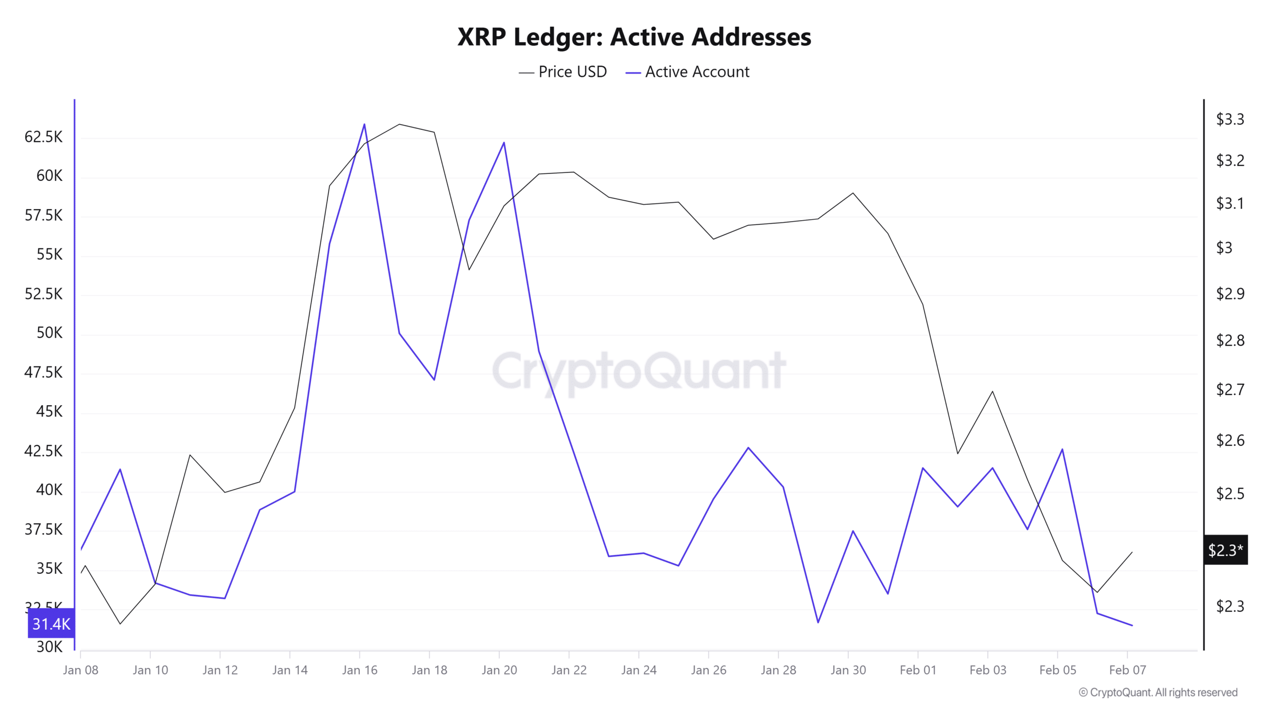 XRP Defteri Aktif Adresler