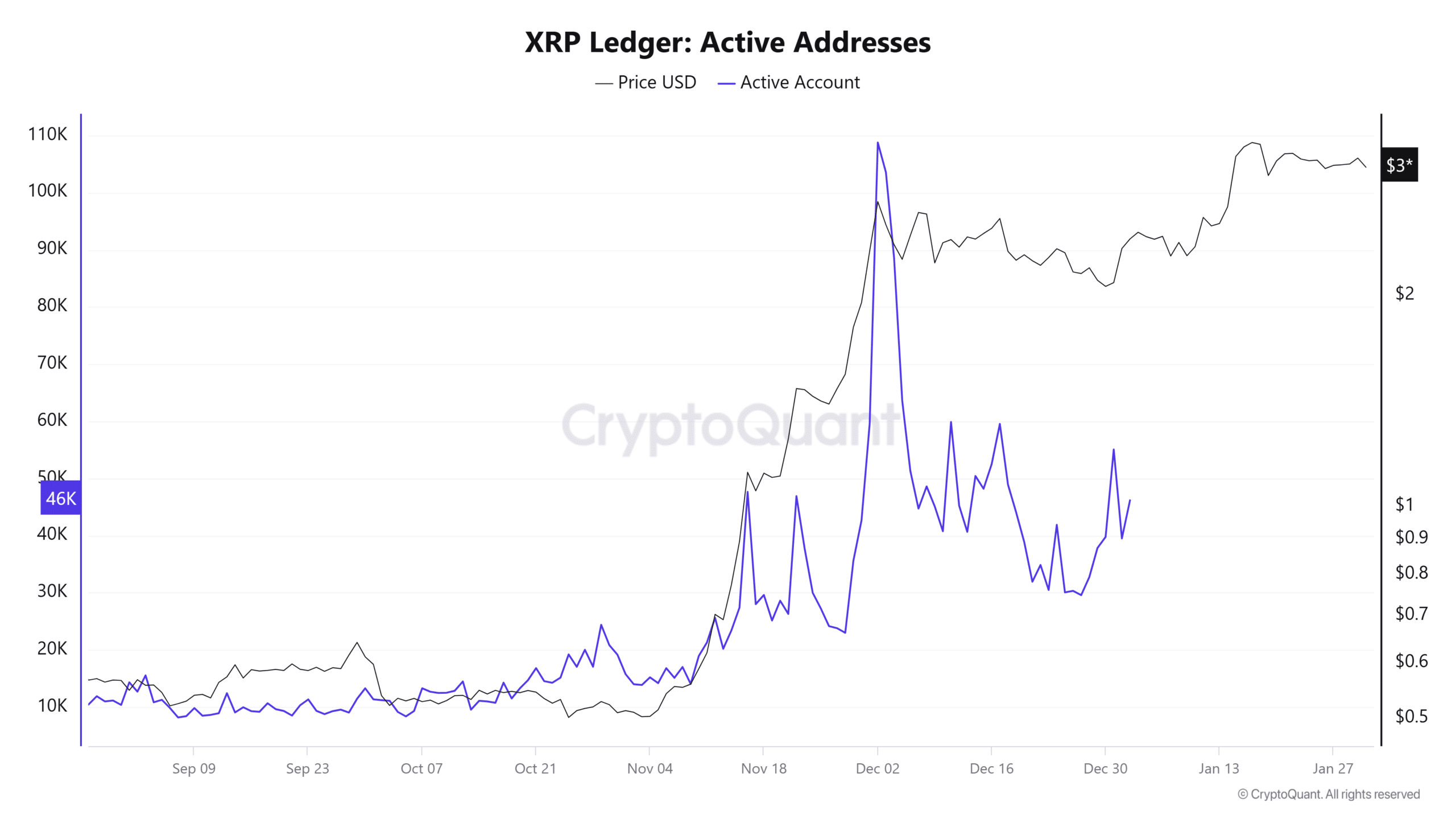 XRP aktif adresler