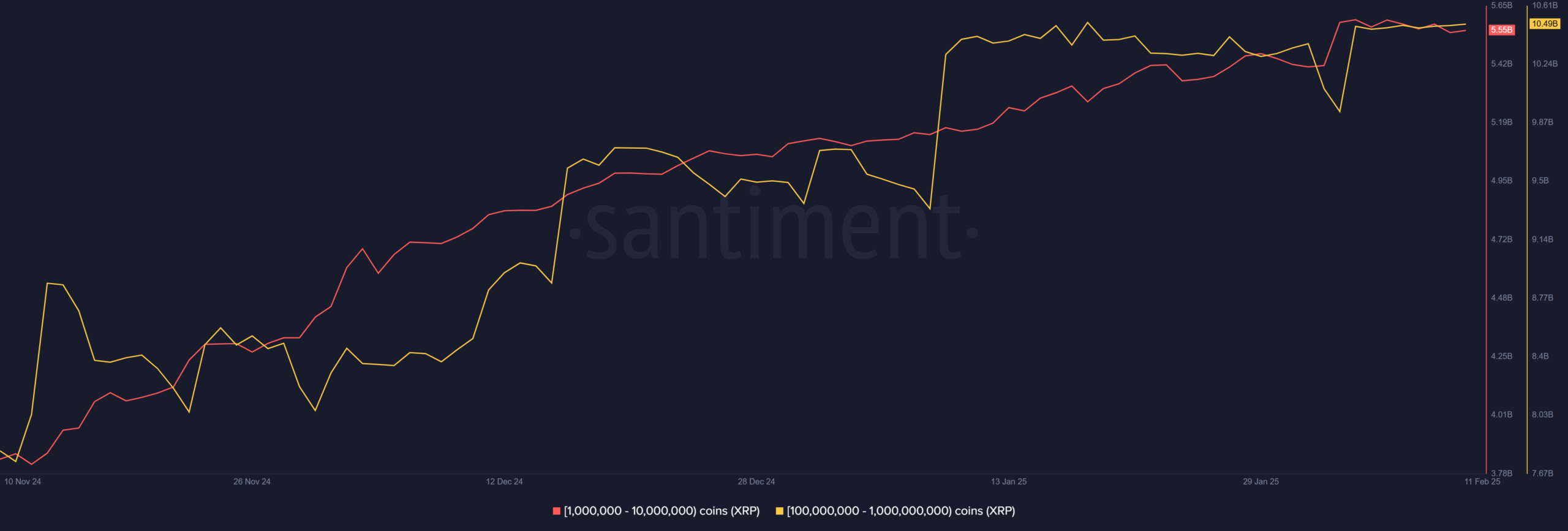 Ripple Accumulation by Whales