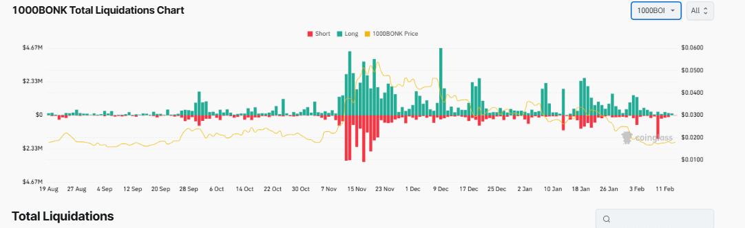 BONK Liquidations Data