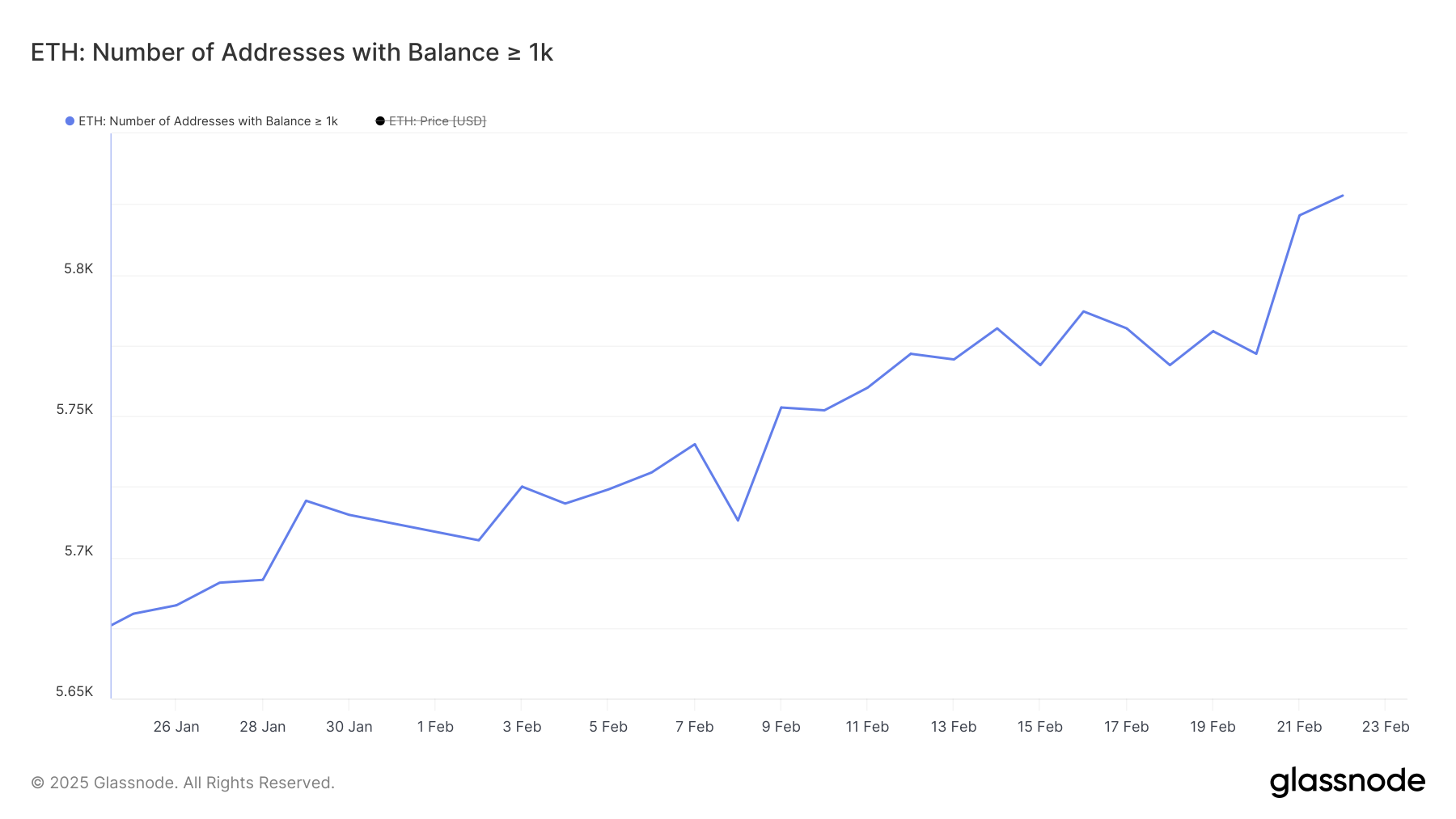 ETH Balinaları.