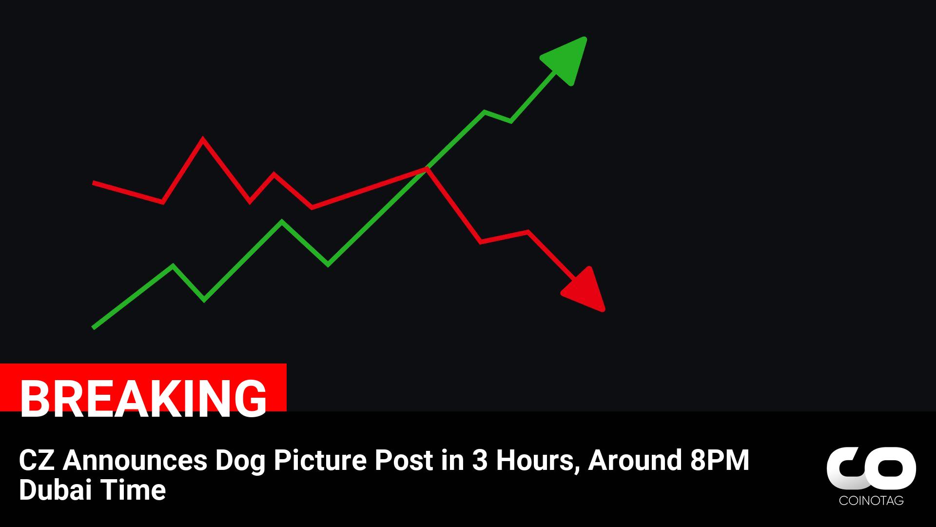 Sharing Exciting News: CZ Set to Post Dog Picture in 3 Hours at 8PM Dubai Time