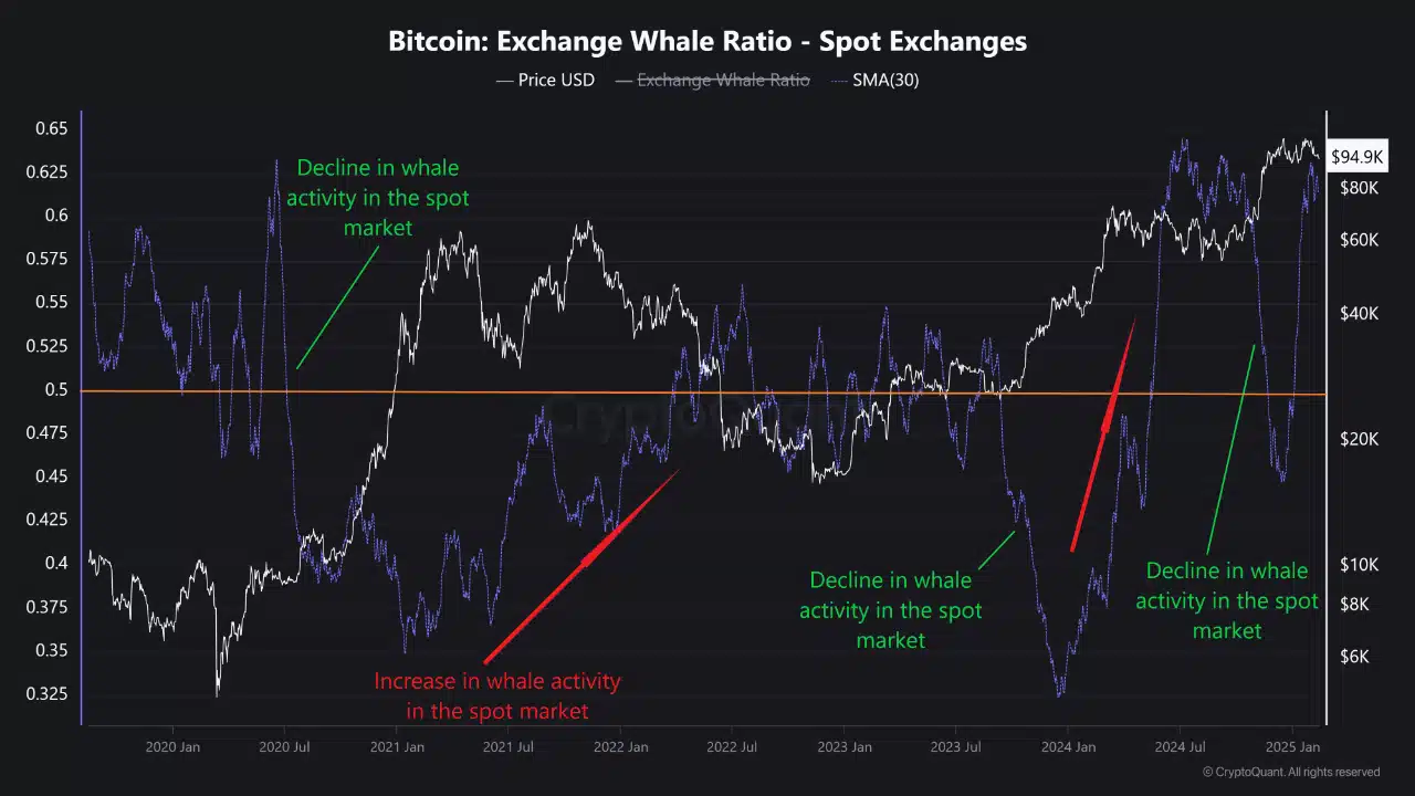 Bitcoin Whale Activity Chart