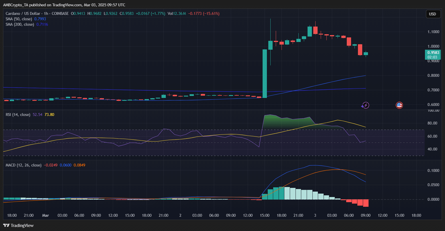 Cardano fiyat artışı