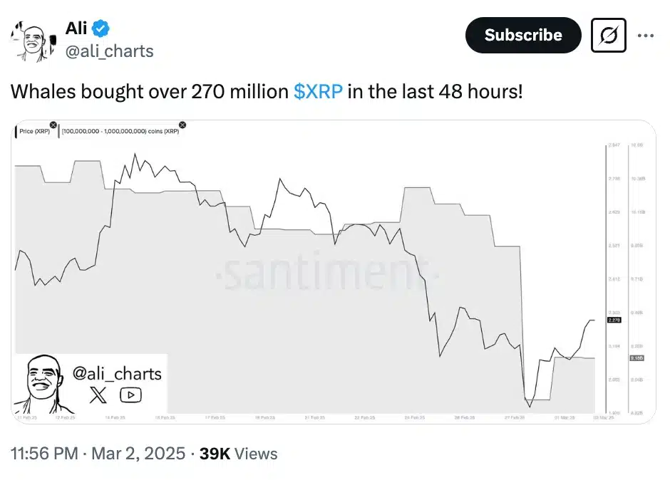 Ali Martinez on XRP whale