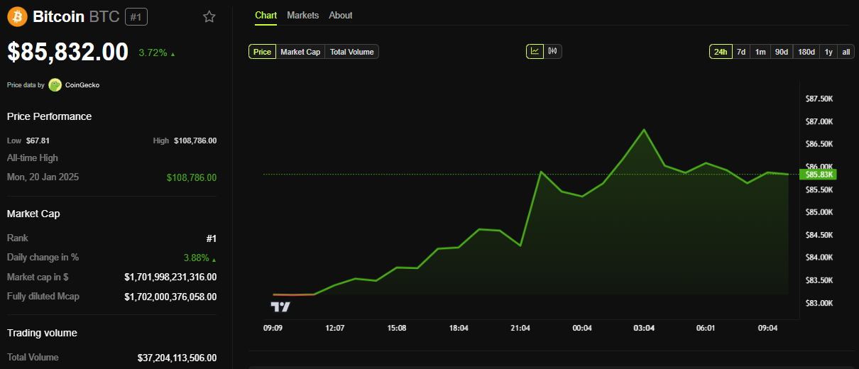 BTC Fiyat Performansı