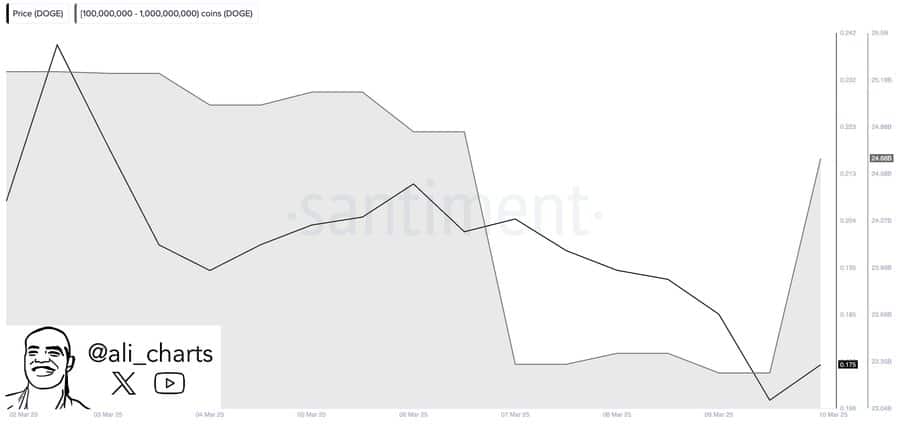 Dogecoin Whale Accumulation Chart