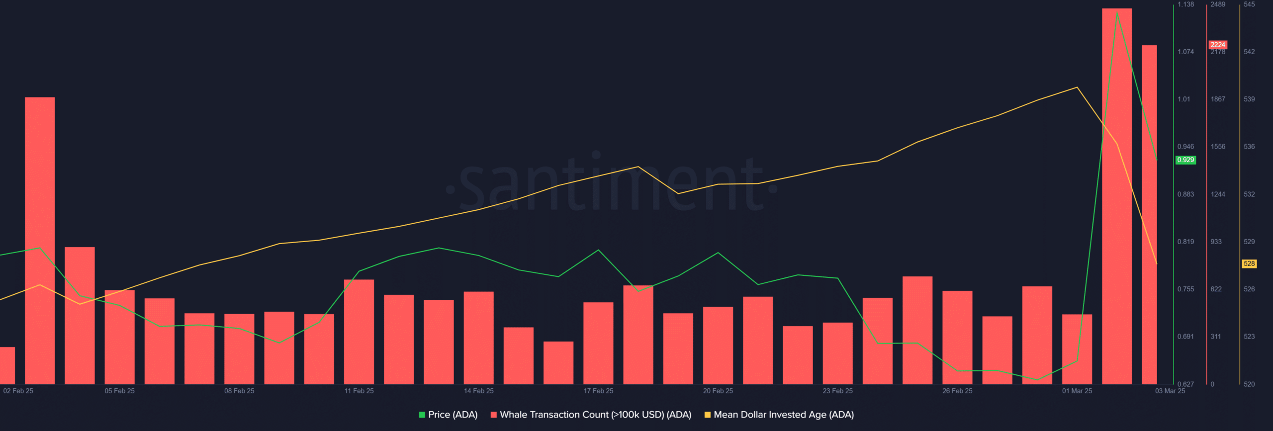 Cardano MDIA büyük yatırımcılar