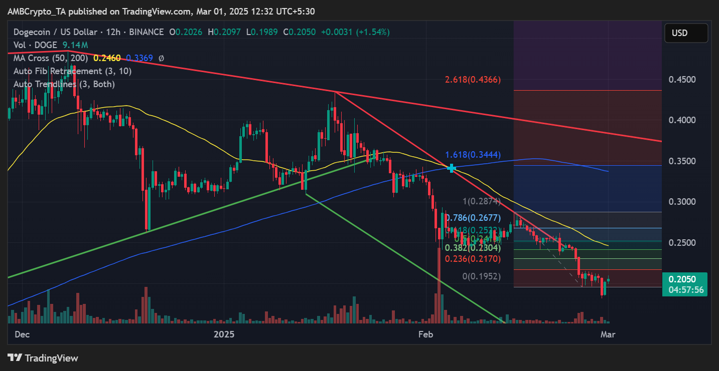 DOGE price trend