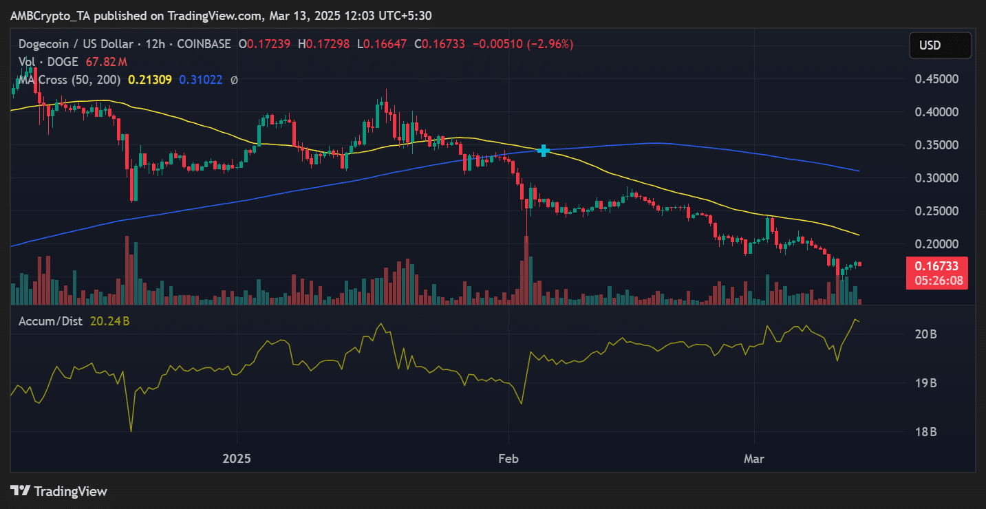 DOGE price trend