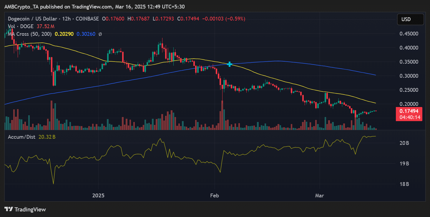 DOGE price trend