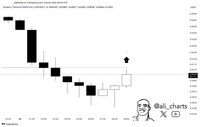 Cardano TD Sequential Indicator Chart